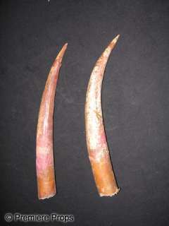 RETURN OF THE JEDI - Sarlacc Teeth | Premiere Props