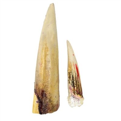 Stranger Things Season 5 Production Used Upside Down 2 Vecna Cavern Spikes A2131