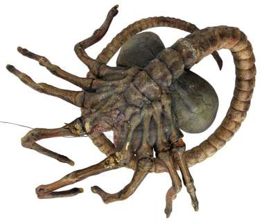 AVP: Alien Vs. Predator - Facehugger Puppet | ScreenUsed