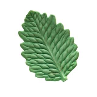 Little Shop of Horrors (1986) Production Made Audrey II Leaf | VIP Fan Auctions