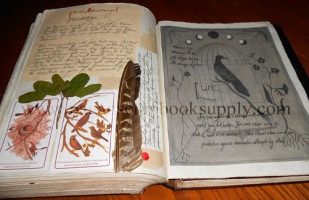 Practical Magic Owens‘ Family Spell Book