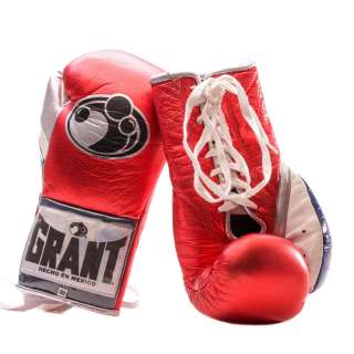 Creed 2 Adonis Creed MIchael B Jordan Screen Used Barclay Center Fight Boxing Gloves | VIP Fan Auctions