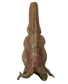 Falling Skies Harness Creature Movie Props | Premiere Props