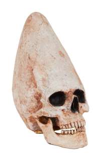 Lot 422 - Coneheads | Arena Skull Prop