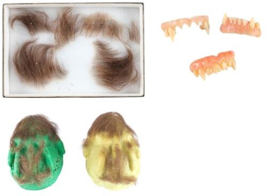 BUFFY THE VAMPIRE SLAYER (T.V. SERIES, 1997-2003) - Lot #602 : Buffy‘s (Sarah Michelle Gellar) Fangs with Oz‘s (Seth Green) Werewolf Fangs and Hair Appliances