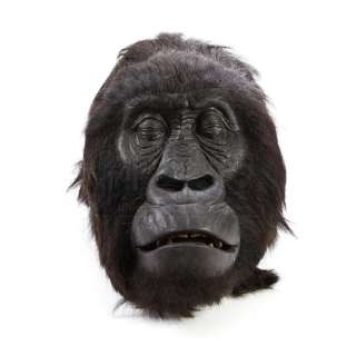GORILLAS IN THE MIST (1988) - Lot 55 - Decapitated Digit Head