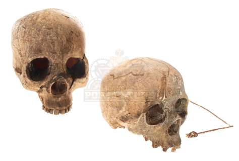 Pirates of the Caribbean: Dead Man’s Chest - Cannibal Island Skulls - 1057 | Icons of Pop Culture