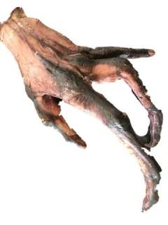 Alien Resurrection Alien Hand Movie Props | Premiere Props