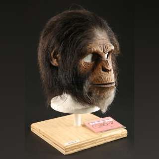 Planet of the Apes (2001) | Male Chimp Mask | Propstore