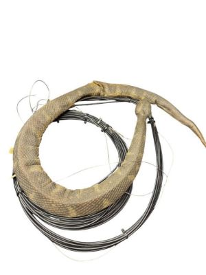 Lot 430 - Snakes on a Plane (2006) - Animatronic Snake | Hanlin Auction Service