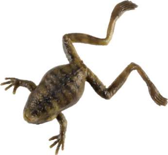 Obi-Wan Kenobi (Lucasfilm, 2022), Worker Credit Key Card and Coin Set. | Heritage