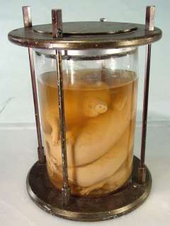 Hand Made Jar of Pigs "From the Walt Disney Prop House" | Super Auctions