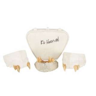 LOST BOYS, THE (1987) - Lot 255 - Max‘s (Edward Herman) Hero Top & Bottom Fangs and Case