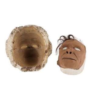 2001: A SPACE ODYSSEY (1968) - Lot 625 - Stuart Freeborn Collection: Dawn of Man Prototype Mask and Mould