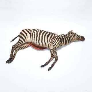 Lot #88 - Legends of the Fall, 1994