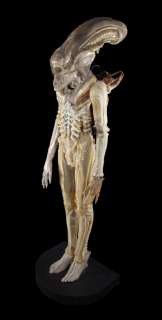 H.R. GIGER’S ORIGINAL PROTOTYPE TRANSLUCENT "BIG CHAP" XENOMORPH COSTUME DISPLAY FROM ALIEN | Julien’s