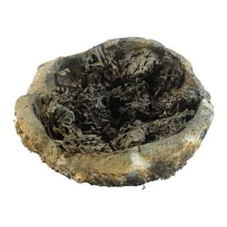 CREEPSHOW (1982) - Lot #82 : Jordy Verrill‘s (Stephen King) Broken Meteorite