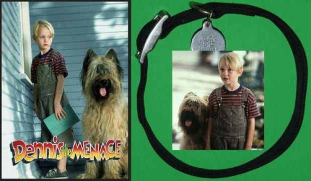 Dennis the Menace vintage 1993 original screen used Dog Collar movie prop COA