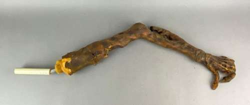 Screen Used Alien Arm Foam Prop | misc / divers