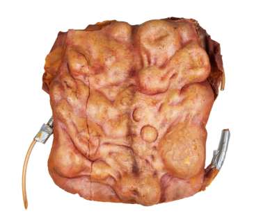 Lot 393 - Blade | Stephen Dorff "Deacon Frost" Special Effects Chest Piece Prop