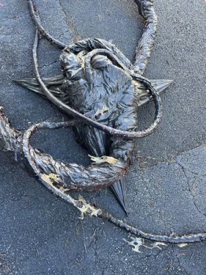 Stranger Things The Nether/Upside Down/Vecna Incredible 24’ Long Prop