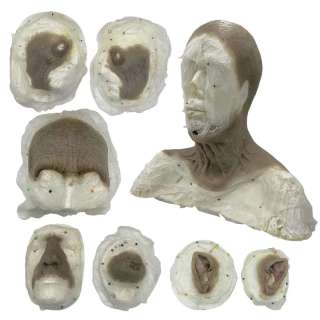 The Last Voyage of the Demeter Dracula / Nosferatu (Javier Botet) Production Used Cowl, Forehead, Right Side Face, Left Side Face, Right Ear, Left Ear, Nose & Chin Prosthetic Set | VIP Fan Auctions