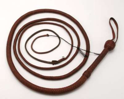 Harrison Ford "Indiana Jones" Bullwhip | Guernseys