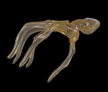 Lot 151 - Poltergeist SFX Reference Hand