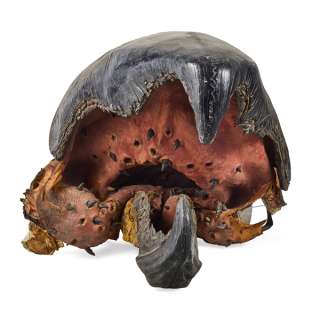 Lot #89 - Life-Size Animatronic Worm Head from Tremors