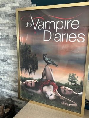 The CW - The Vampire Diaries - The Vampire Diaries
