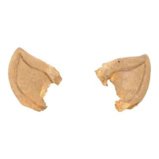 STAR TREK: THE ORIGINAL SERIES (1966-1969) - Lot 367 - Spock‘s (Leonard Nimoy) Vulcan Ear Tips