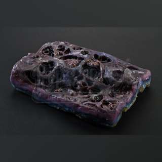 Pacific Rim | Dr. Newton Geiszler’s (Charlie Day) Sydney Kaiju Sample | Propstore