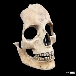 Alien: Covenant - Alien: Covenant (2017) – Dead Engineer Skull