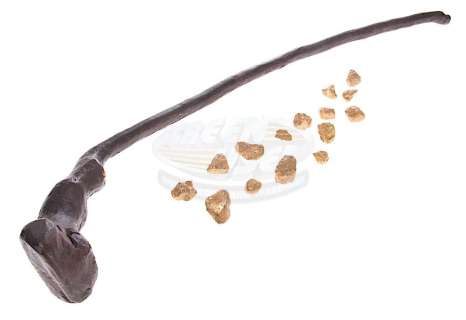 Lot 411 - Charmed (TV) - Leprechaun Shillelagh & Gold