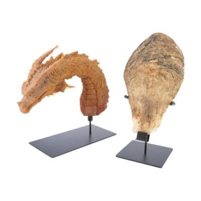 DRAGONSLAYER (1981) - Lot #148 : Production-Made Vermithrax Pejorative Puppet Head Casting with Full-Size Dragon Scale