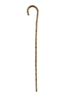 Chaplin Robert Downey Jr. Screen Used Cane Movie Props | Premiere Props