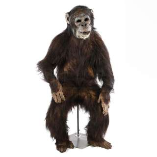 GREYSTOKE: THE LEGEND OF TARZAN, LORD OF THE APES (1984) - Lot 20 - Complete Ape Display