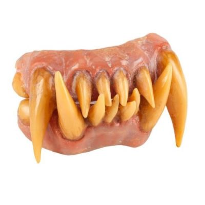 MICHAEL JACKSON: THRILLER - Lot #242 : Rick Baker Collection: Michael‘s (Michael Jackson) Werecat Teeth