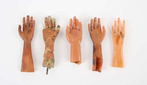 Star Trek: Autographed photographs 30+ colour photographs, each 8 x 10 inches, Signed by William… | Ewbank’s