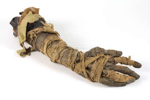 Mummy (The) - Mummy forearm