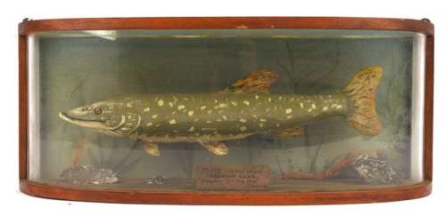 Gerry Anderson: Joe 90 (1968- 1969) Original Prop mounted pike, within a perspex and wood display… | Ewbank’s