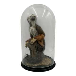 The Pickup Production Backup Squirrel Monkey | VIP Fan Auctions