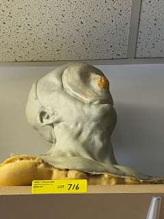 Generic Head Cowel | Direct Liquidation