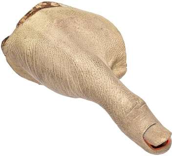 Star Trek: The Next Generation "Lore’s" Thumb Prop | Propworx