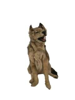 Wolf Animatronic Puppet TV/Movie Props | Premiere Props