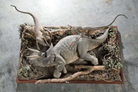 2 raptors feeding on Triceratops Jurassic Park | Profiles in History