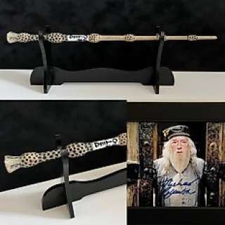 Harry Potter | Harry Potter - Albus Dumbledore Replica Prop Wand with Deluxe Display + Framed Photo | Catawiki