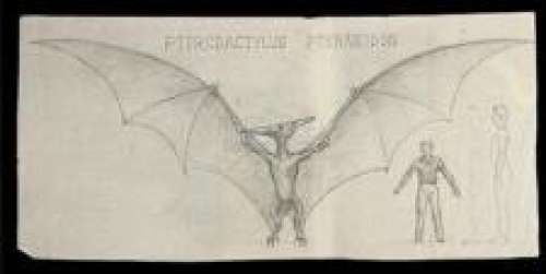 THE VALLEY OF GWANGI (1969) - Lot 202 - Ray Harryhausen Hand-Drawn Pterodactylus Scale Comparison