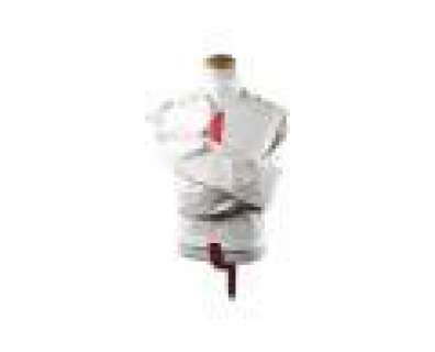 Dirk Gently | Lot DG18 - Martin’s Straight Jacket | ScreenBid