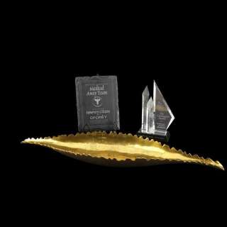 STAR TREK: PICARD (2020-2023) - Lot #1635 : Beverly Crusher‘s (Gates McFadden) Screen-Matched Cor Coroli V Award with Carrington Award and Titan Dinner Platter